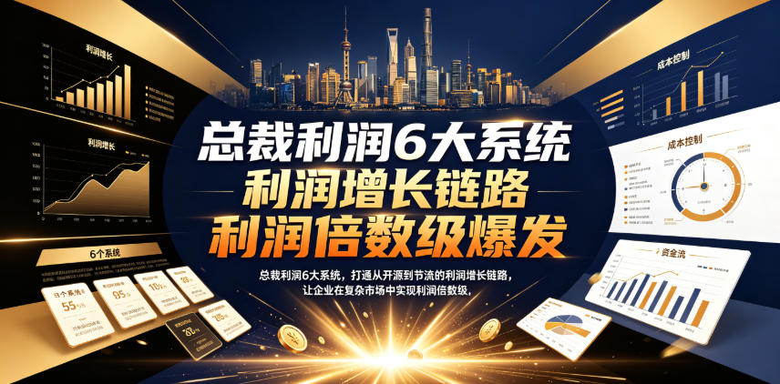 总裁利润6大系统，打通从开源到节流的利润增长链路，让企业在复杂市场中实现利润倍数级爆发-阿俊淘金