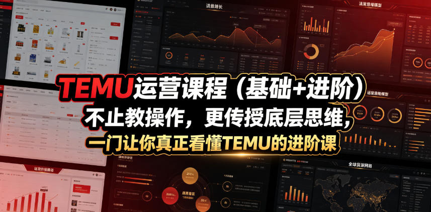 TEMU运营课程（基础+进阶），不止教操作，更传授底层思维，一门让你真正看懂TEMU的进阶课-阿俊淘金