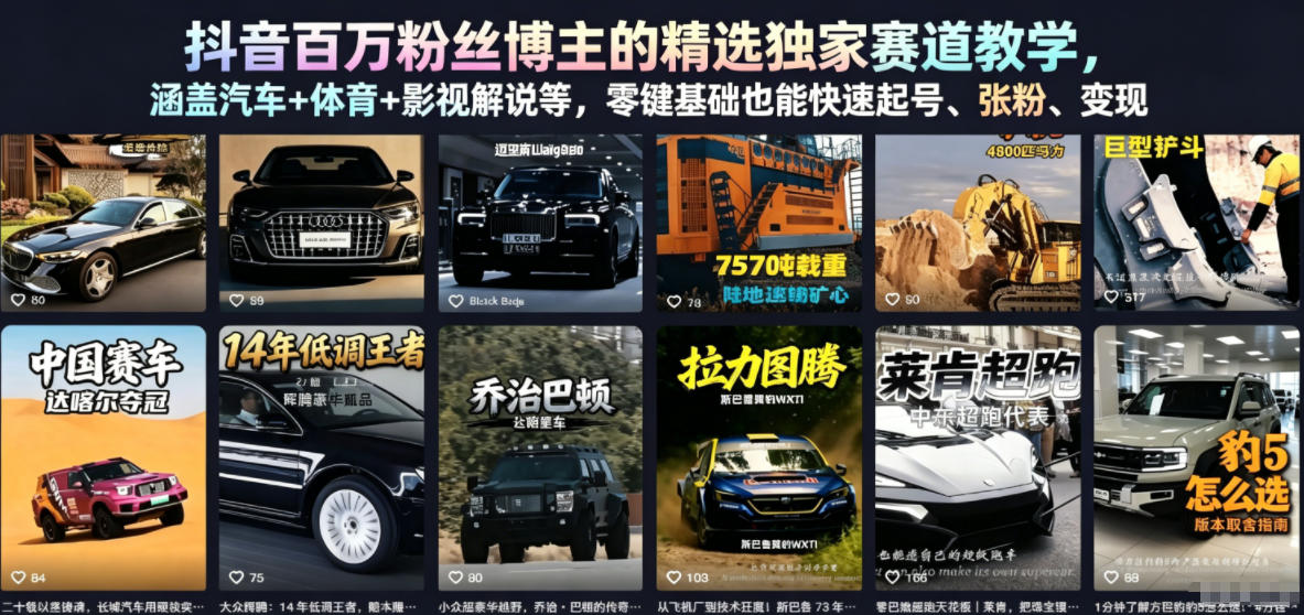抖音百万粉丝博主的精选独家赛道教学，涵盖汽车+体育+影视解说等，零基础也能快速起号、涨粉、变现（更新0701）-阿俊淘金