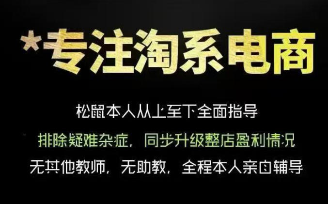 松鼠会电商VIP课程，从基础布局到高阶优化，助你掌握淘宝运营逻辑，提升店铺流量与转化（更新0823）-阿俊淘金