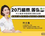叶小鱼21天短视频文案拆书营，学完轻松搞定各类书单短视频文案-第一资源库