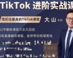 大山老师TikTok进阶实战课：账号详解，流量运营，实战变现，助力你成功出海-第一资源库