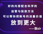 张sir账号流量增长课，告别海王流量，让你的流量更精准-第一资源库