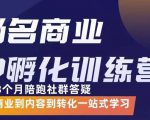 杨名商业IP孵化训练营，从商业到内容到转化一站式学 价值5980元-第一资源库