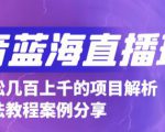 抖音最新蓝海直播玩法，3分钟赚30元，一天轻松1000+，只要你去直播就行【详细玩法教程】-第一资源库