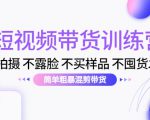 短视频带货训练营:不拍摄 不露脸 不买样品 不囤货发货 简单粗暴混剪带货(第三期)-第一资源库