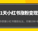 21天小红书涨粉变现营（第4期）：带你掌握小红书爆款玩法，月赚10W+秘密-第一资源库