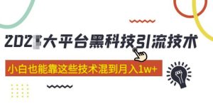 大平台黑科技引流技术,小白也能靠这些技术混到月入1w+(2022年的课程)-第一资源库