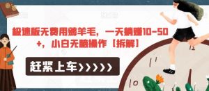 极速版无费用薅羊毛,一天躺赚10-50+,小白无脑操作【拆解】-第一资源库