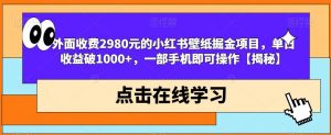 外面收费2980元的小红书壁纸掘金项目，单日收益破1000+，一部手机即可操作【揭秘】-第一资源库