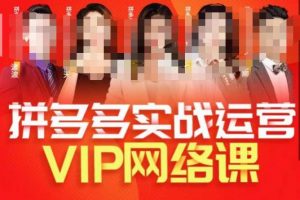 推易拼多多VIP全套直播课程,拼多多店铺实操玩法+实战玩法选款内功+直通车高阶等-第一资源库