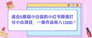 适合0基础小白做的小红书颜值打分小众项目，一条作品收入1000＋【揭秘】-第一资源库