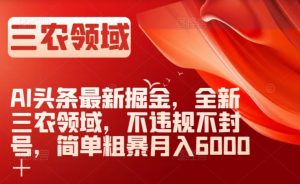AI头条最新掘金,全新三农领域,不违规不封号,简单粗暴月入6000+【揭秘】-第一资源库