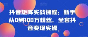 抖音矩阵实战课程:新手从0到100万粉丝,全套抖音变现实操-第一资源库