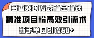 精准项目粉高效引流术,新手单日引流50+,多重变现方式稳定赚钱【揭秘】-第一资源库