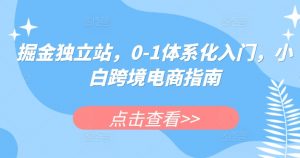 掘金独立站,0-1体系化入门,小白跨境电商指南-第一资源库