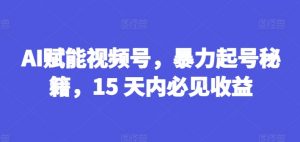 AI赋能视频号,暴力起号秘籍,15 天内必见收益【揭秘】-第一资源库