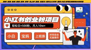 小红书创业粉项目日+500粉,每天20分钟躺赚长尾收益,无脑操作,宝妈,小白抓紧冲【揭秘】-第一资源库