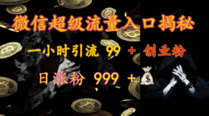 微信超级流量入口揭秘:一小时引流 99 + 创业粉,日涨粉 999 +-第一资源库