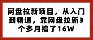 网盘拉新项目，从入门到精通，靠网盘拉新3个多月搞了16W-第一资源库