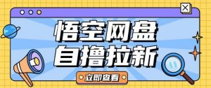 全网首发悟空网盘云真机自撸拉新项目玩法单机可挣10.20不等-第一资源库