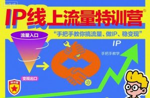 IP线上流量特训营，手把手教你搞流量、做IP、稳变现-第一资源库