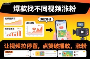 爆款找不同视频涨粉,让视频拉停留,实现点赞,破播放,涨粉-第一资源库