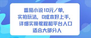 番茄小说10米每单，实拍玩法，0成本好上手，详细实操教程和平台入口适合大部分人-第一资源库