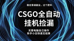【稳定副业】全球最热门游戏CSGO全自动捡漏，最新玩法，新手小白日入5张+【揭秘】-第一资源库