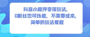 抖音小程序变现玩法，0粉丝也可以做，不需要成本，简单的玩法教程-第一资源库