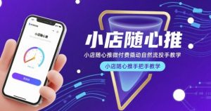 小店随心推微付费撬动自然流投手教学,小店随心推手把手教学-第一资源库