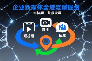 短视频全域商业模式,企业新媒体全域流量掘金,3域协同,共振破屏,短视频-直播-私域-地域-第一资源库