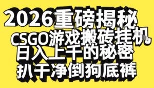 2026开年重磅解密，CSGO游戏搬砖挂G日入1k+的秘密，把倒狗的底裤扒干【揭秘】-第一资源库