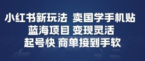 小红书新玩法,卖国学手机贴,蓝海项目,变现灵活,起号快,商单接到手软-第一资源库