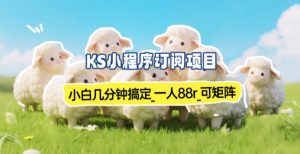 小程序订阅项目_小白几分钟搞定,一人88米,可矩阵(已测到账)-第一资源库