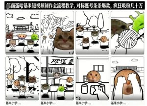卤蛋哈基米短视频制作全流程教学，条条爆款，疯狂吸粉几十万-第一资源库