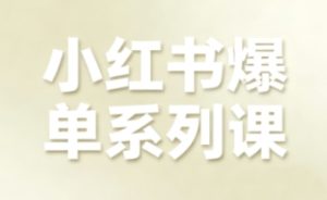 小红书爆单系列课,聚焦小红书电商全链路增长(更新)-第一资源库