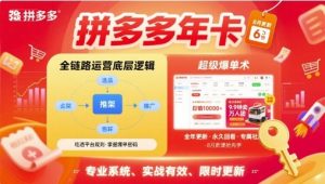 拼多多年卡，拼多多全链路运营底层逻辑，超级爆单术【更新12月】-第一资源库