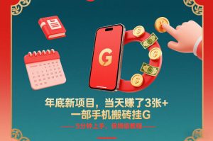 年底新项目，当天賺了3张+，一部手机搬砖挂G，5分钟上手，保姆级教程【揭秘】-第一资源库