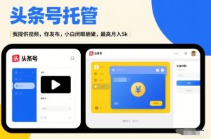 头条号AI托管，我提供视频，你发布，小白闭眼躺賺，最高月入5k+【揭秘】-第一资源库