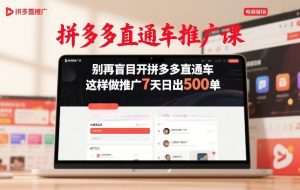 拼多多直通车推广课，别再盲目开拼多多直通车，这样做推广7天日出500单-第一资源库