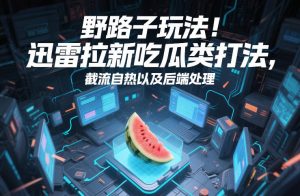 野路子玩法!迅雷拉新吃瓜类打法,截流自热以及后端处理-第一资源库