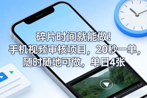 碎片时间就能做!手机视频审核项目,20秒一单,随时随地可做,单日4张+【揭秘】-第一资源库