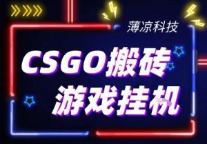 CSGO游戏挂G游戏搬砖最新升级,普通小白一部手机可日入3张+当天见结果,支持验证【揭秘】-第一资源库