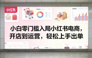 小白零门槛入局小红书电商,开店到运营,轻松上手出单-阿俊淘金