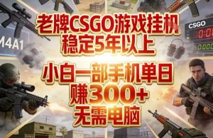 老牌CSGO游戏挂G,稳定5年以上,小白一部手机单日賺3张+,无需电脑【揭秘】-阿俊淘金