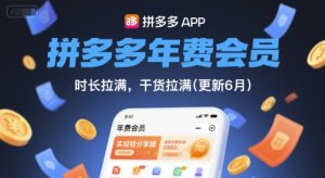 拼多多年费会员，实经验分享操，时长拉满，干货拉满(更新26年3月)-阿俊淘金