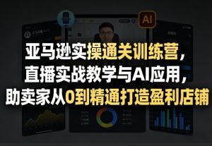 亚马逊实操通关训练营,直播实战教学与AI应用,助卖家从0到精通打造盈利店铺(更新3月23日)-阿俊淘金