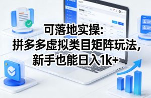 可落地实操：拼多多虚拟类目矩阵玩法，新手也能日入1k+【揭秘】-阿俊淘金