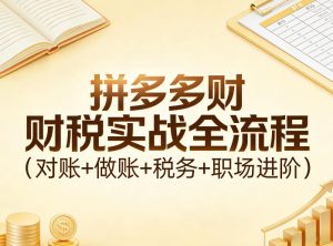 拼多多财税实战全流程（对账+做账+税务+职场进阶）-阿俊淘金